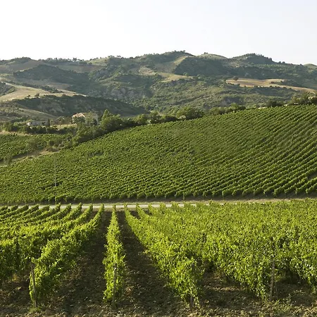 Country house Poderi Firenze *